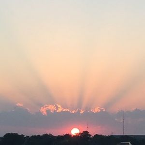 Meet your Posher, Tessa